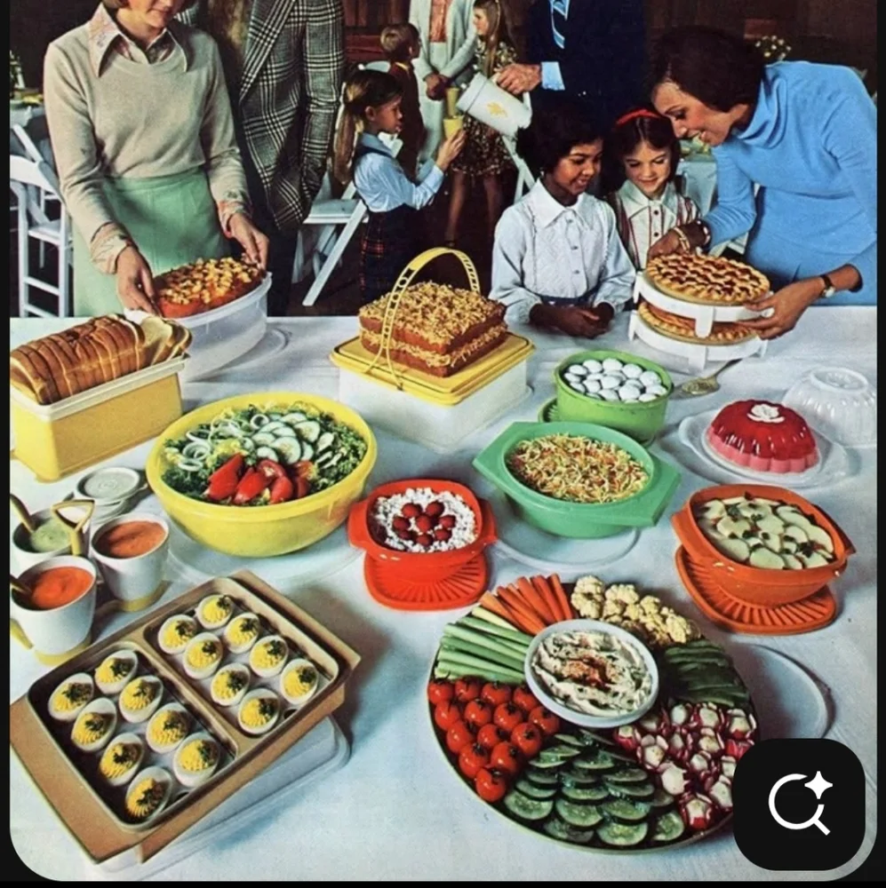 Tupperware durable container
